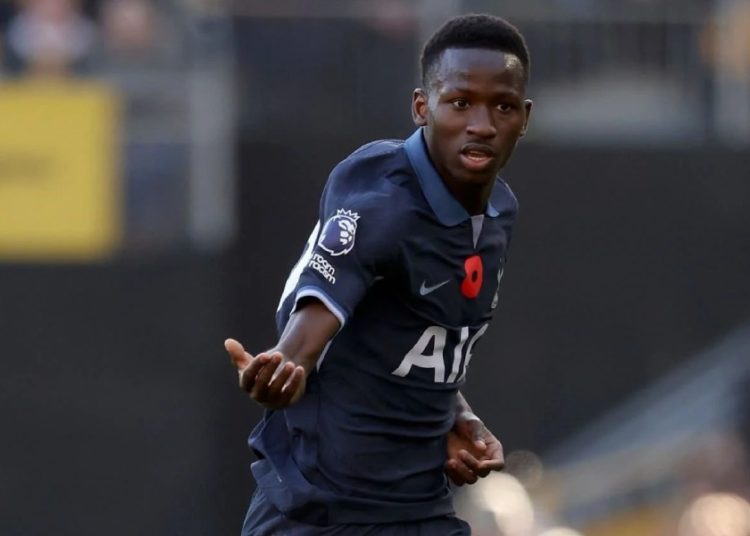 pape matar sarr
