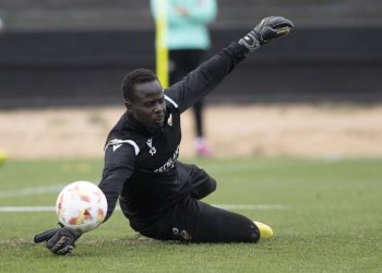 Cheikh Kane Sarr
