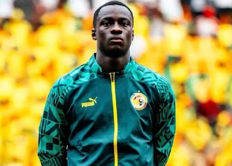 habib diarra