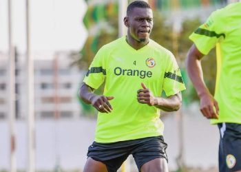 Depuis son arrivée, Abdoulaye Seck garantit l’invincibilité des Lions