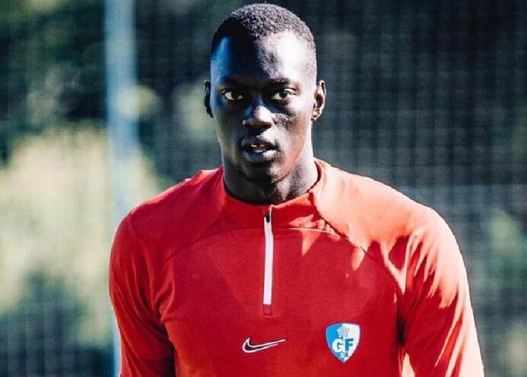 Mamadou Diop, le géant grenoblois qui affole les clubs français