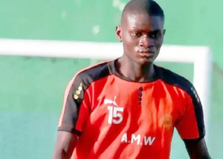 Pape Alou Niang