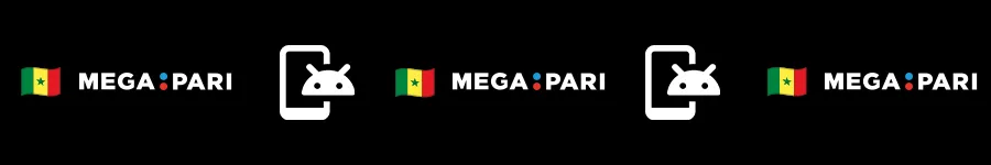Fonctionnalités principales de l'application Android Megapari